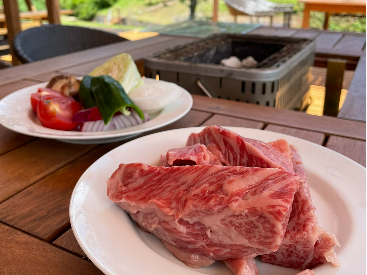 O͂񂾂̐Hނӂ񂾂ɎgpBBQ