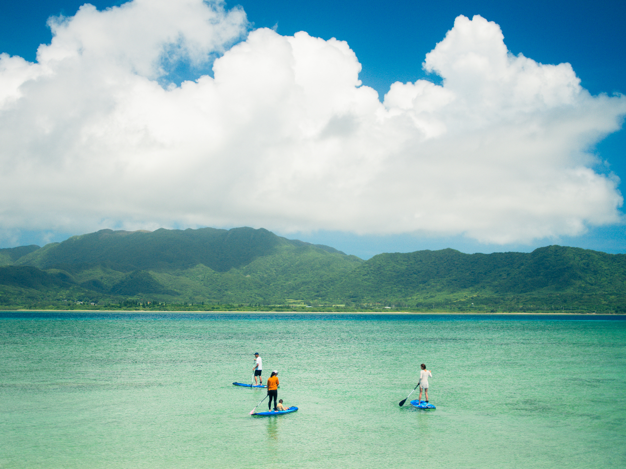 ɌĂ鐼\́As[^[Ȃ瑆ōs邱Ƃ܂I