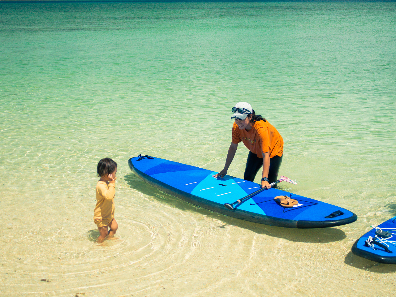 {[h́ANSP̂QOOb^[̃n[h{[hgpIS҂ł]тɂ&ƂĂ₷{[hňSłI