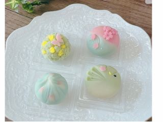 JVS華和菓子『春』季節にあったデザインのねりきりを体験頂きます♪
