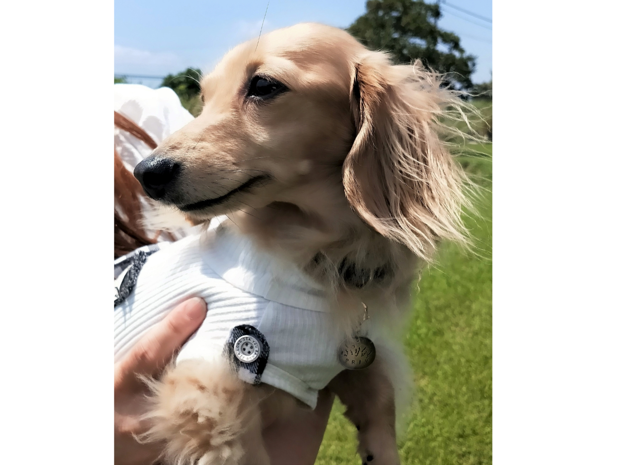 ペットと一緒に遊びに来てね♪ リードに繋いで園内を散策。
愛を込めてフリーハンドで手彫りの名入れ&英字刻印の両方で♪