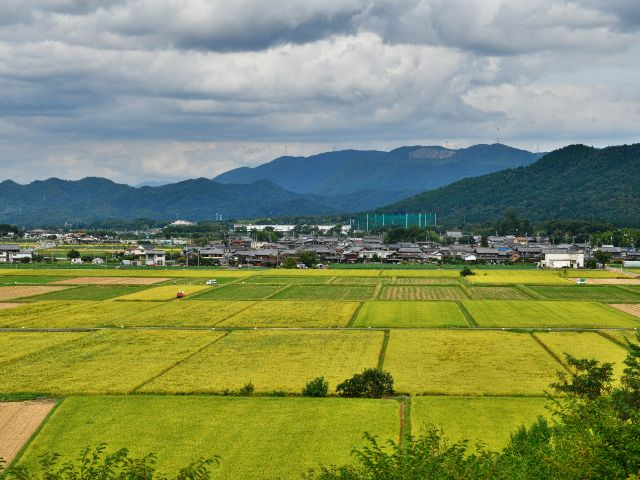自然豊かな甲良町でリフレッシュしてください!