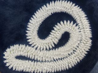 カーネーションレイ 白、ピンク、赤など、お色を選べます。