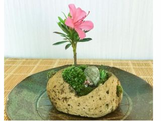 当日お持ち帰りいただけるのも嬉しいポイントです。