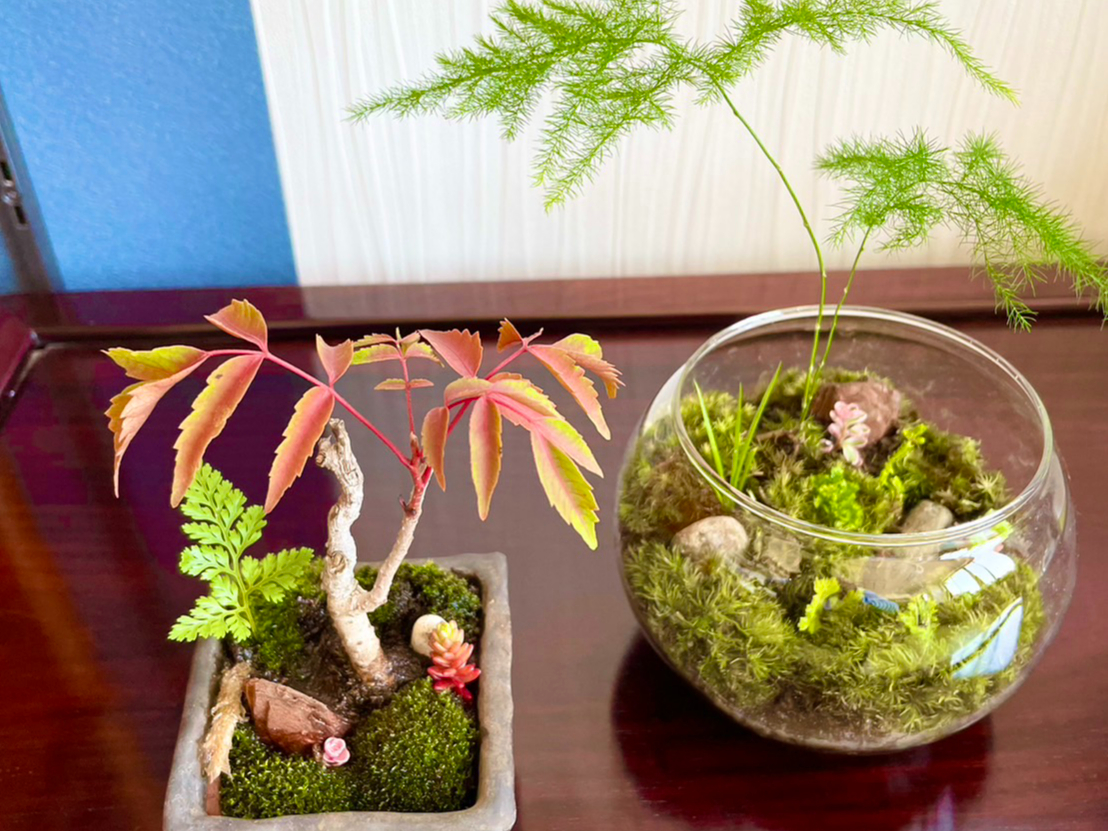 ۃA[gŖ̎Ԃ̌܂񂩁H