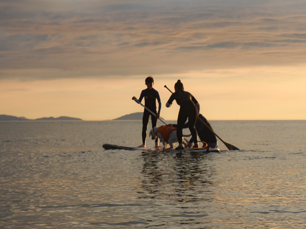 家族+犬+SUP=プライスレス
