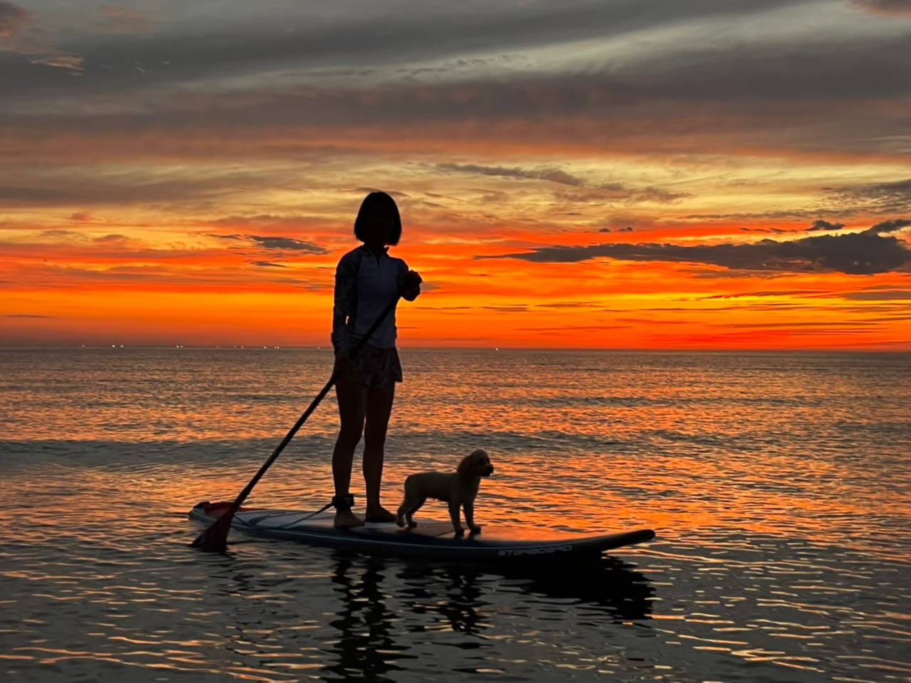 夕陽タイムにワンちゃんと・・・素晴らしい!