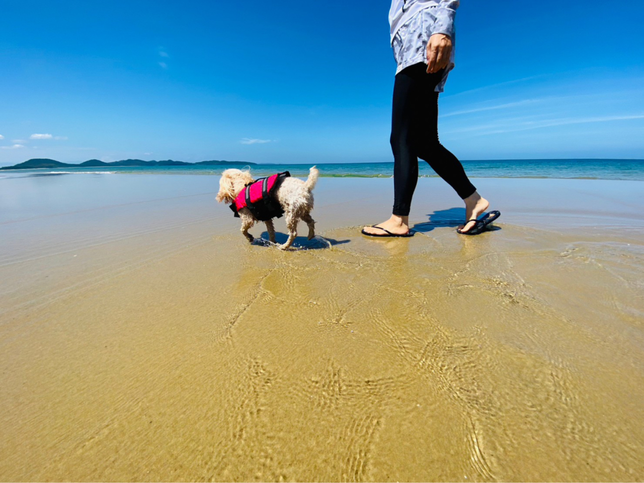 {[hȂĂAꂢȕlӂ𑖂邾łAōȂł