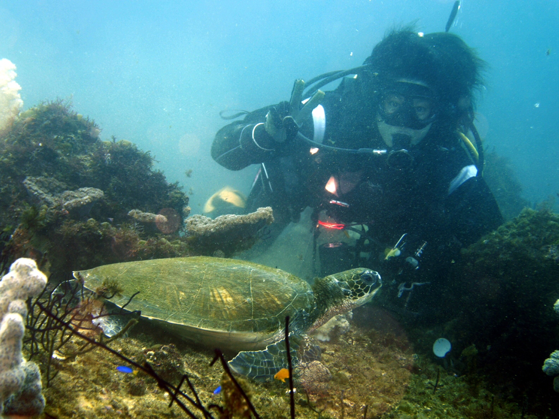 m߂Od̃_CrOX|bgŃJƂ̋LOʐ^Bꏊ܂BAcA[甑̃cA[ǂłnjI