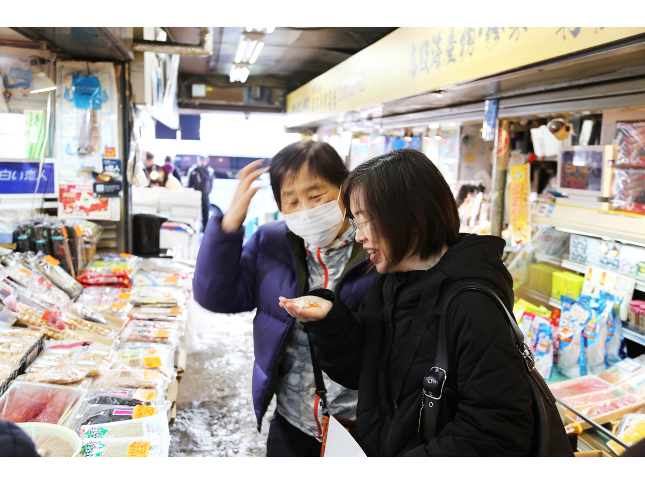 ̏ŎHȂēOIv킸Ί炪oႢ܂IZLob`邩牓ɁAs̑햡yłB