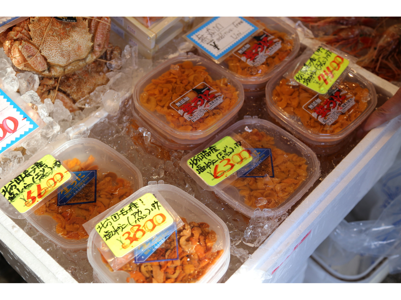 ウニだって、エビだって、鮮度のいい海鮮が豊富に揃ってます!自宅に送ってウニ丼リベンジしちゃいましょう!