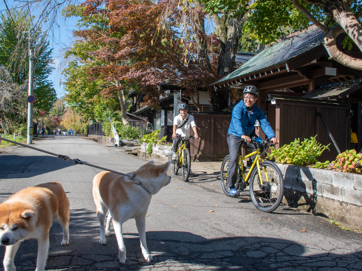\モフモフの秋田犬に遭遇できるかも?!/