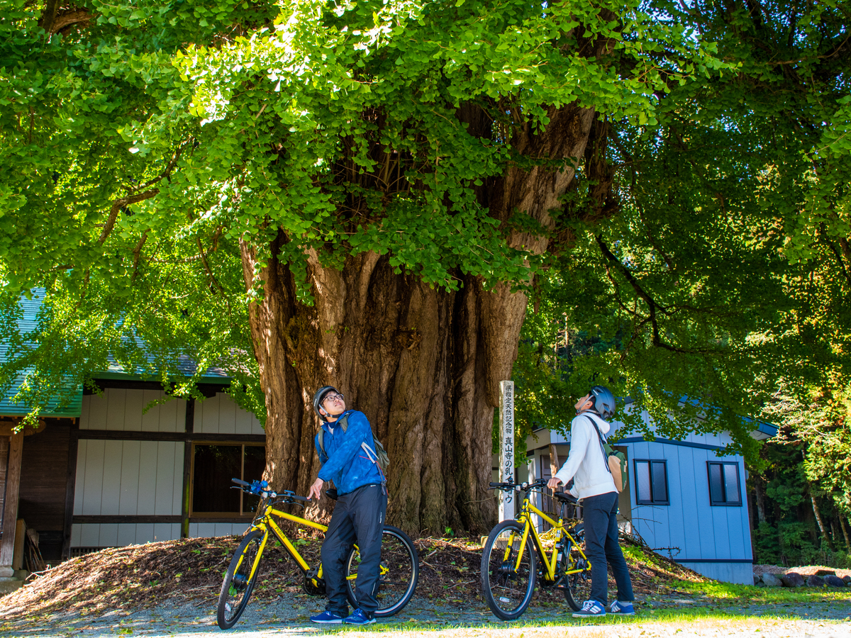 _HcȂł͂̔iFRC܂܂Ɋ\^