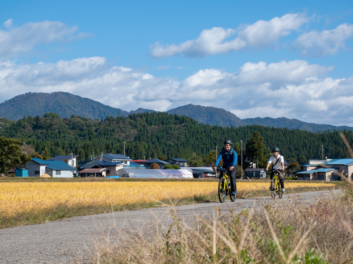 _lG܁X̎RfpȏWȂǁAKChubNɂ͍ڂȂufB[vȏHcvɏo`XI^