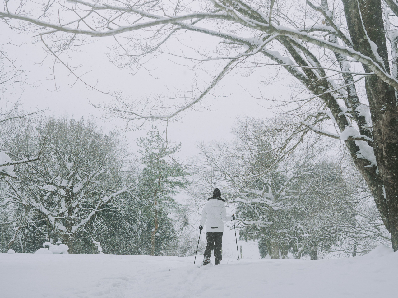 �܂�Ŗ��̍��̐��E(^^��