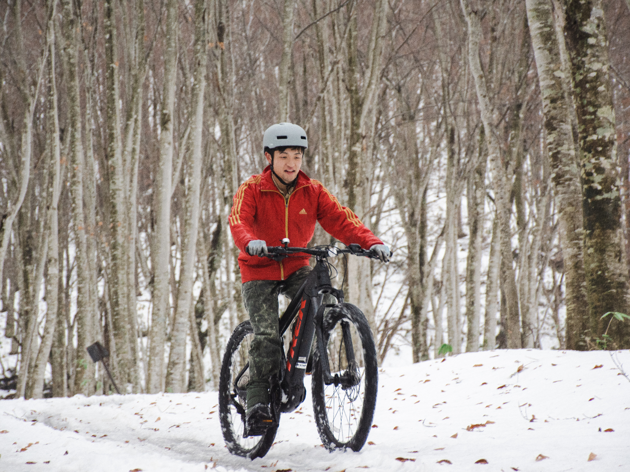 �_�X�m�[�T�C�N�����O��9�������S�҂ł����^