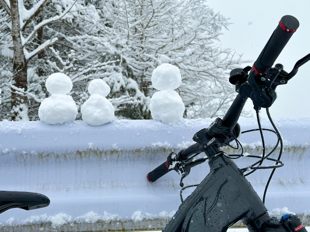 �_�C���X�^�f������ʐ^���B�낤�I���^