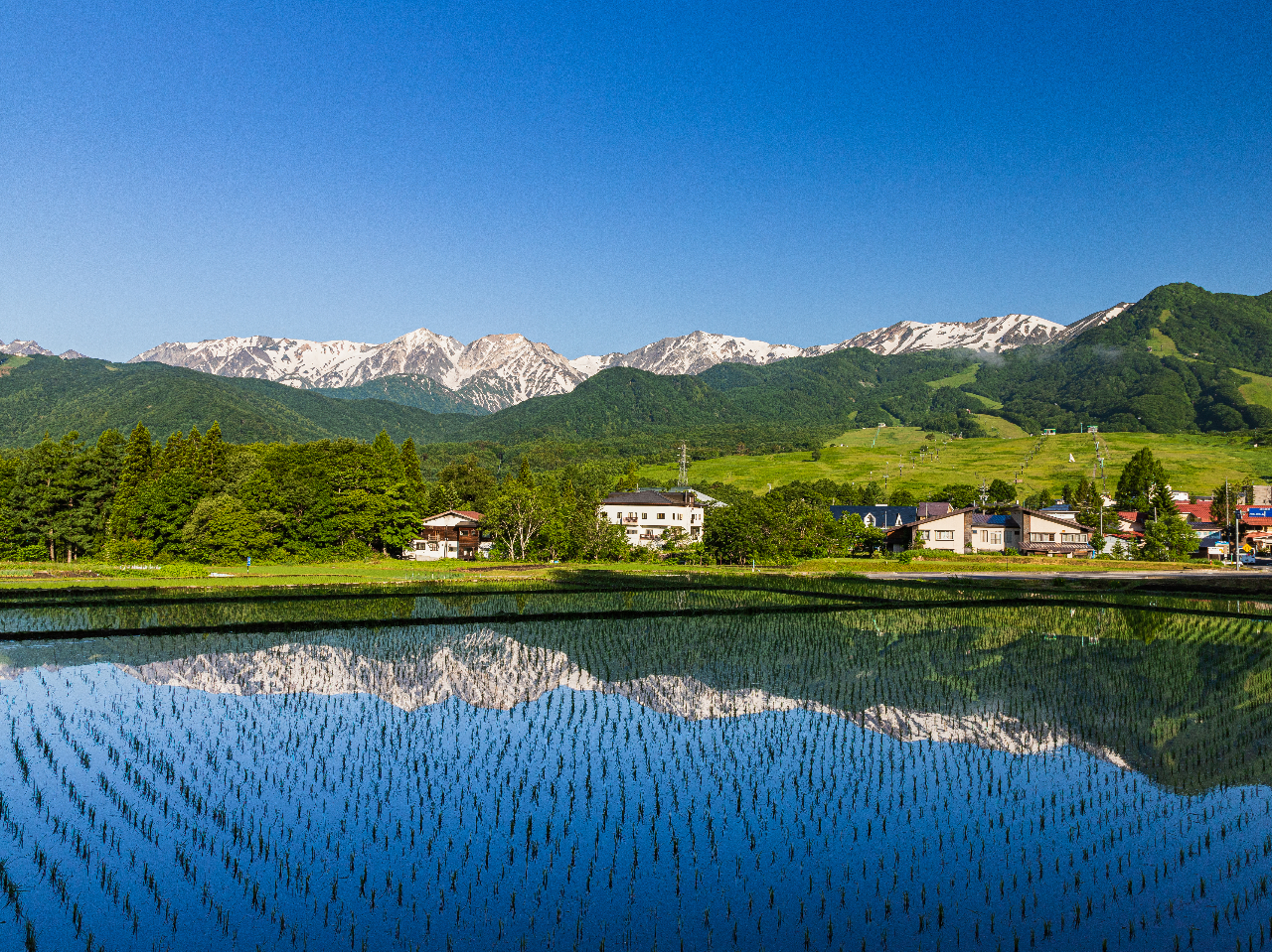 ɉfAn̎RƓcA̕íAO[V[Y̓ʂȐiB