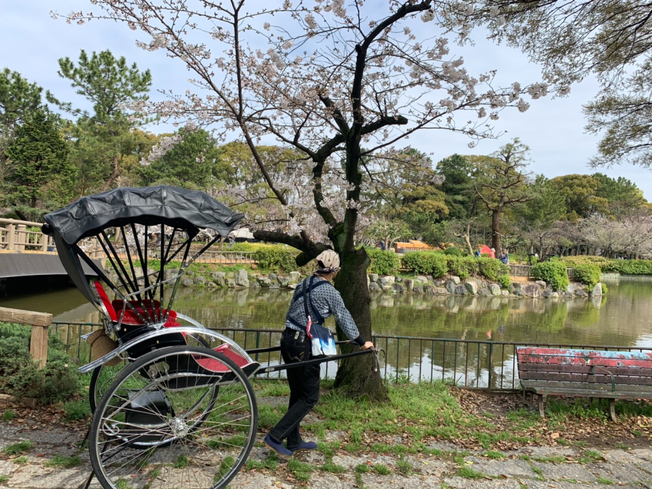 素敵な旅の思い出に!人力車に乗ろう!名古屋★