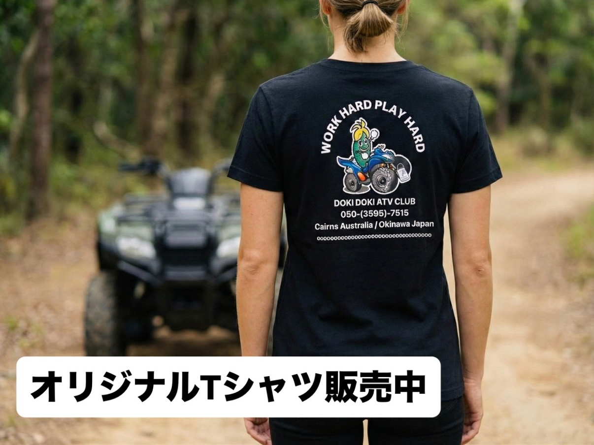 ����X�I���W�i��T�V���c���̔����I