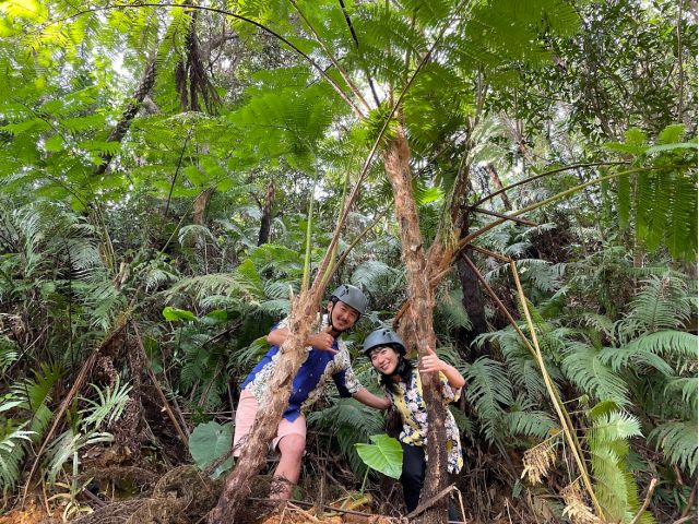 コース内には巨大なシダ植物など大変珍しい植物や生き物の宝庫☆ 時期によって景色も変わって面白い☆