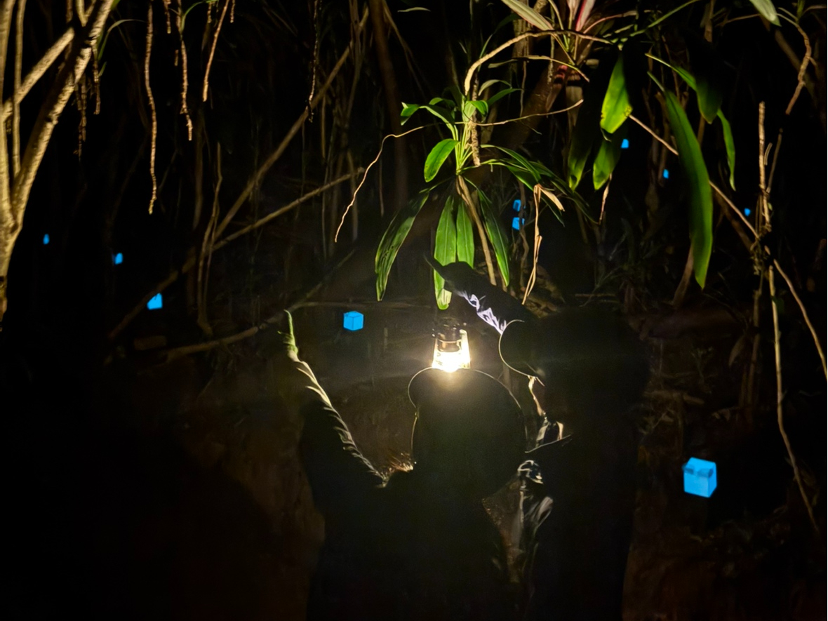 �^���ÂȃW�����O�������������`�������Ă݂܂��傤�B