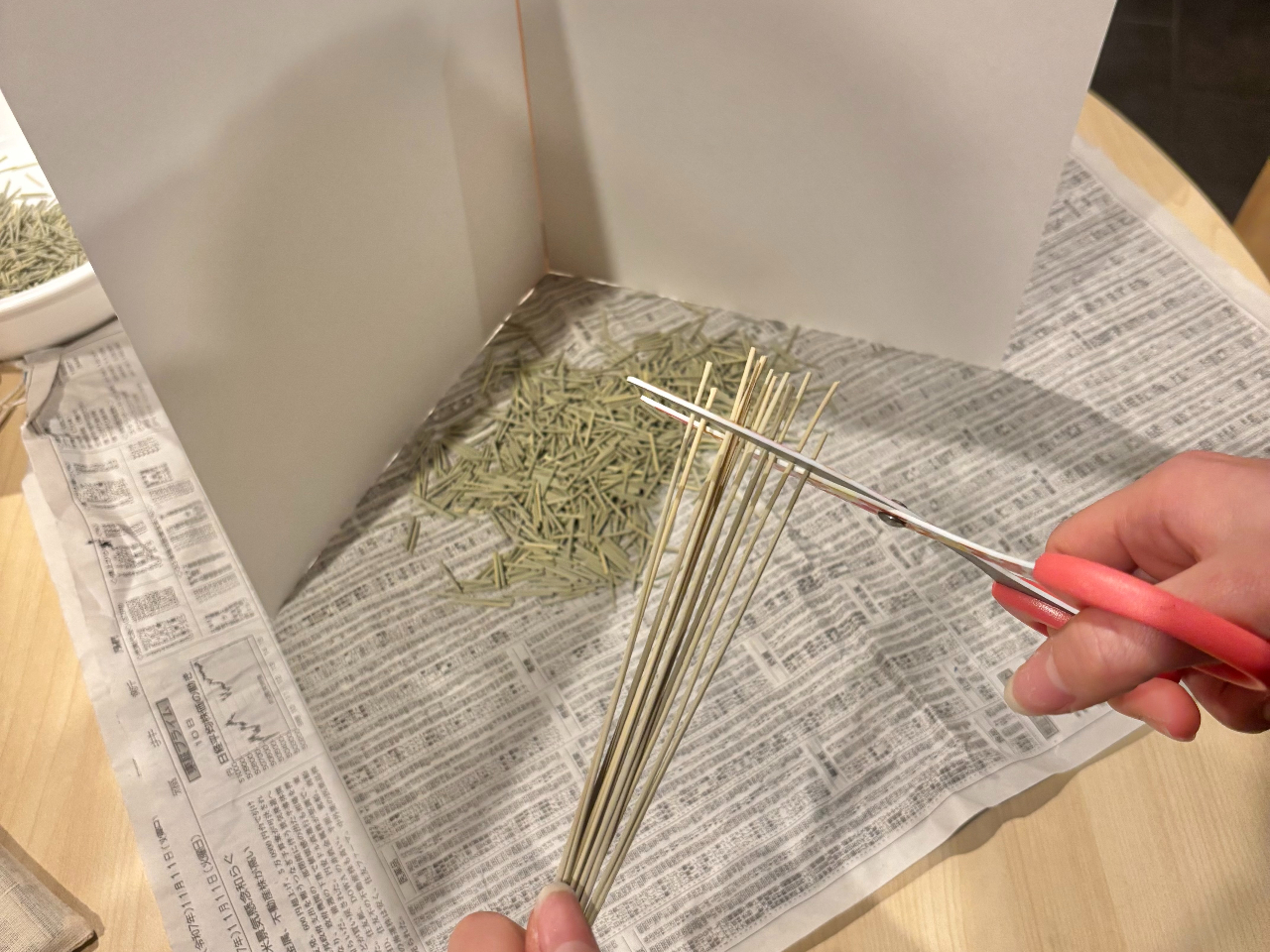 �C�O�T���J�b�g�I�C�O�T�̐؂�S�n���y����Ł�