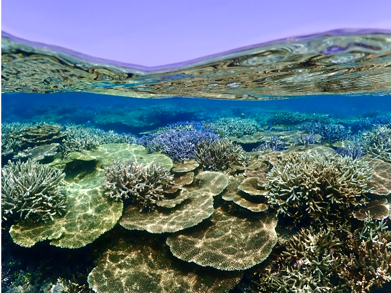 ���������X��I