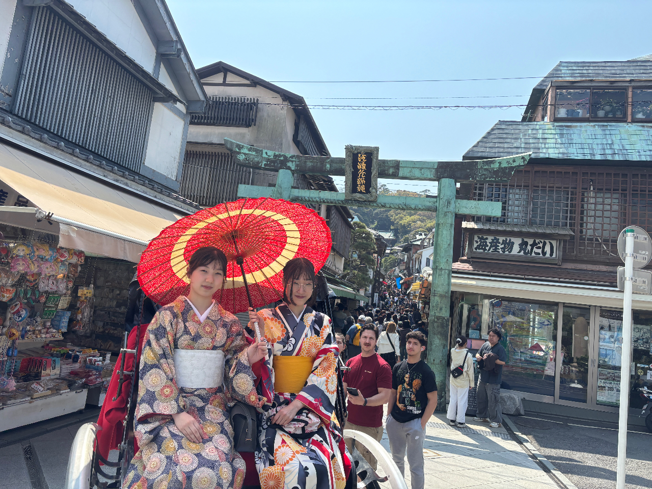 �]�̓��ό��l�͎� ���ނ̎ʐ^4