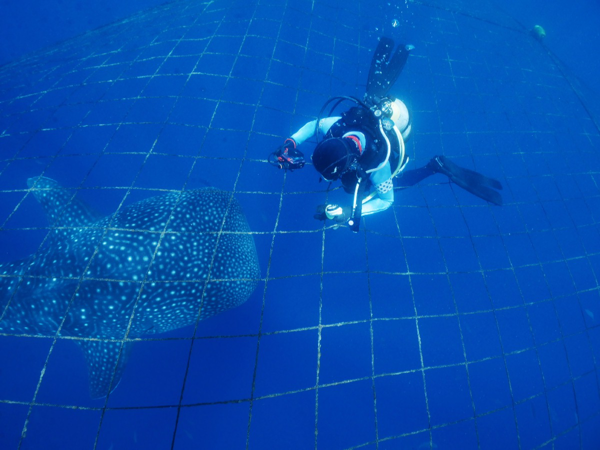 ̌_CrȌꍇォ̊ώ@ɂȂ܂B