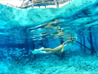 透明度の高い海でスノーケリングしませんか?