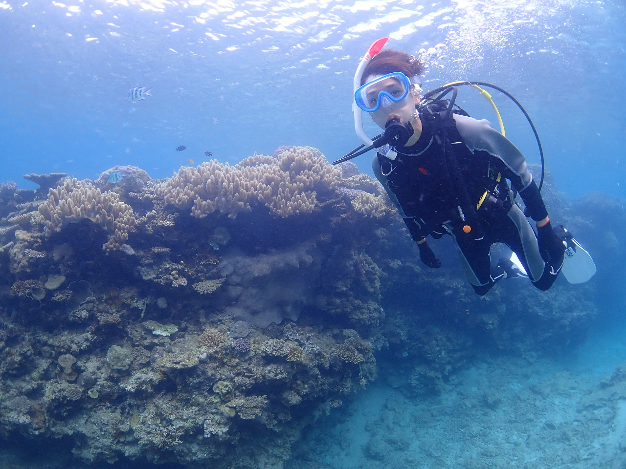 慣れてくるとスイスイ泳いでいます!