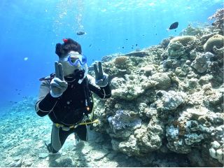 沖縄のサンゴを間近で観察♪