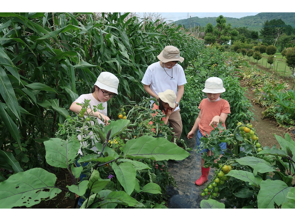 千葉県君津/収穫体験】季節の旬のお野菜・収穫体験| 会員制の貸農園で 