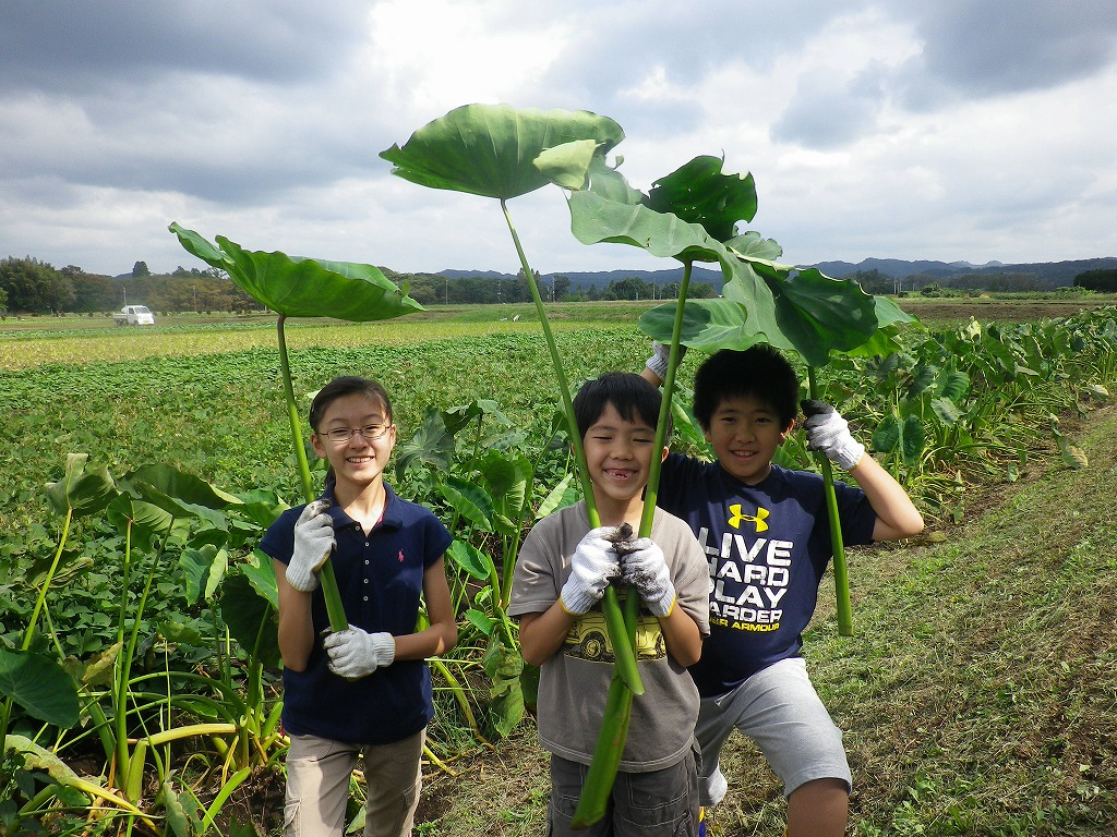千葉県君津/収穫体験】季節の旬のお野菜・収穫体験| 会員制の貸農園で 