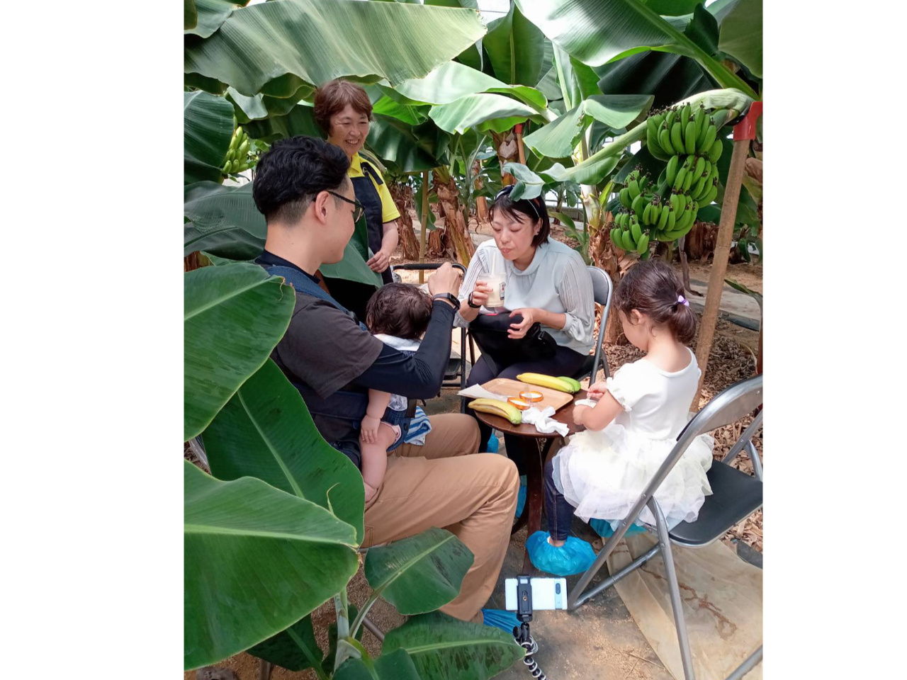 バナナの食べ比べの後、バナナジュースとバナナアイスを堪能