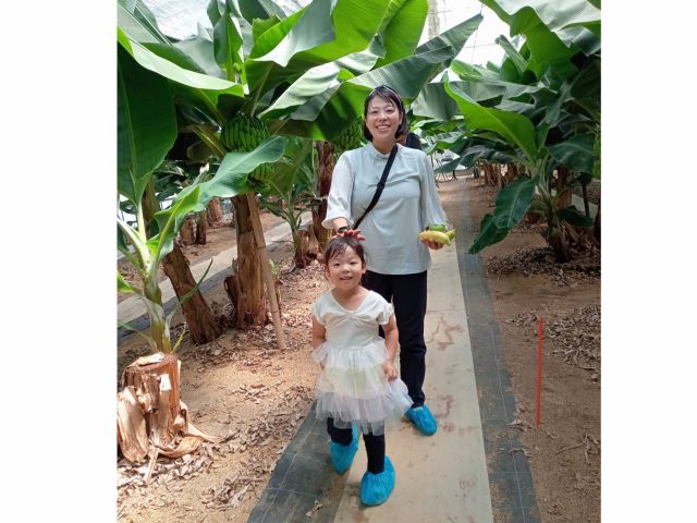 バナナ園を散策