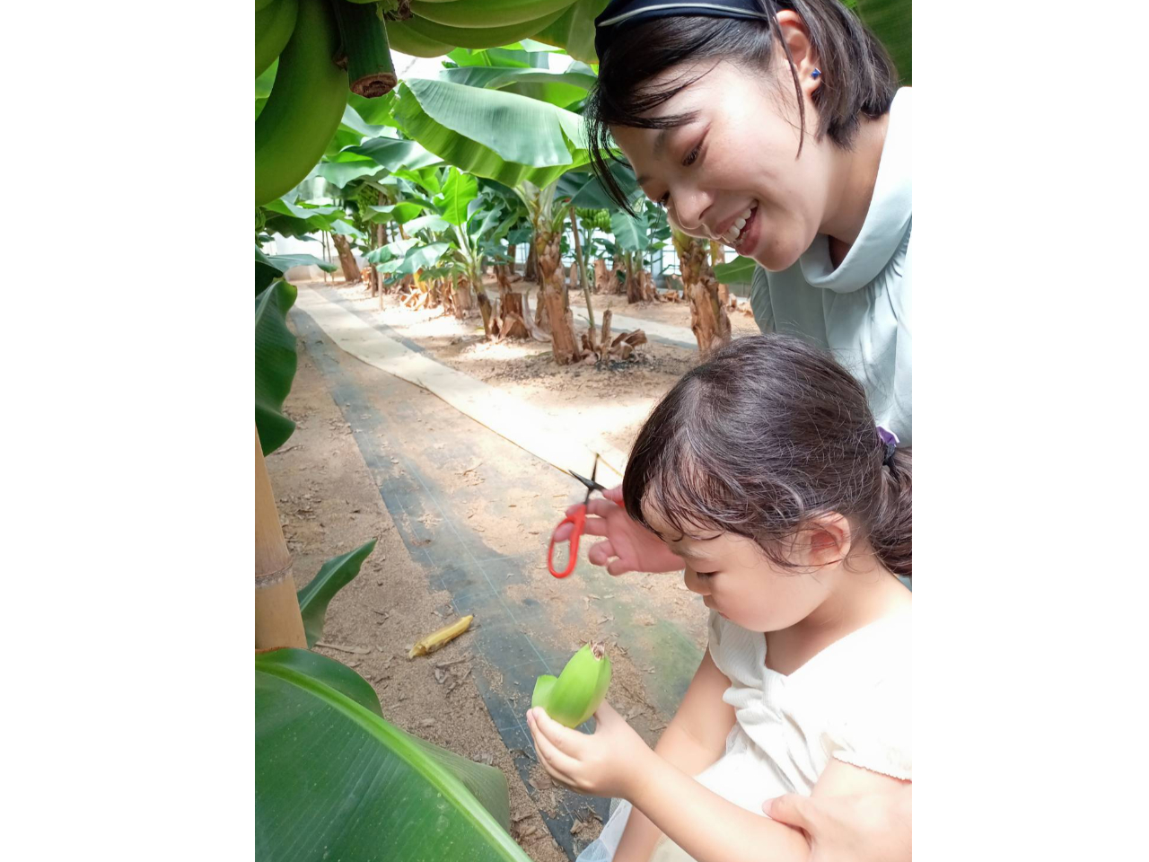 小さいのが採れました