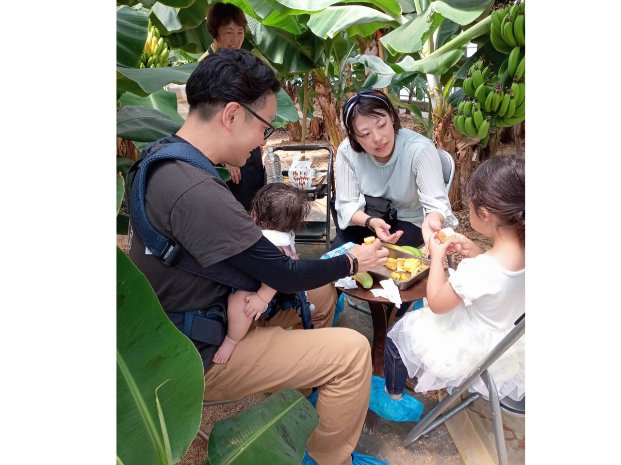 熟度の違うバナナ をみんなで食べ比べ