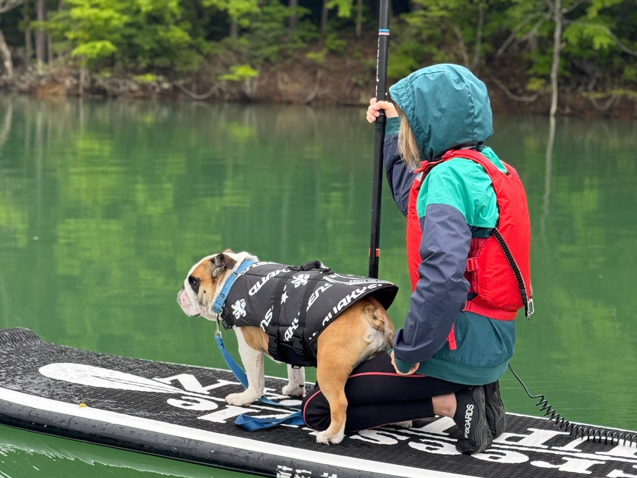 【青森 秋田 岩手】ビーストサップ ☆じゃらん限定☆【十和田湖】青森でサップ体験！半日体験会（午前or