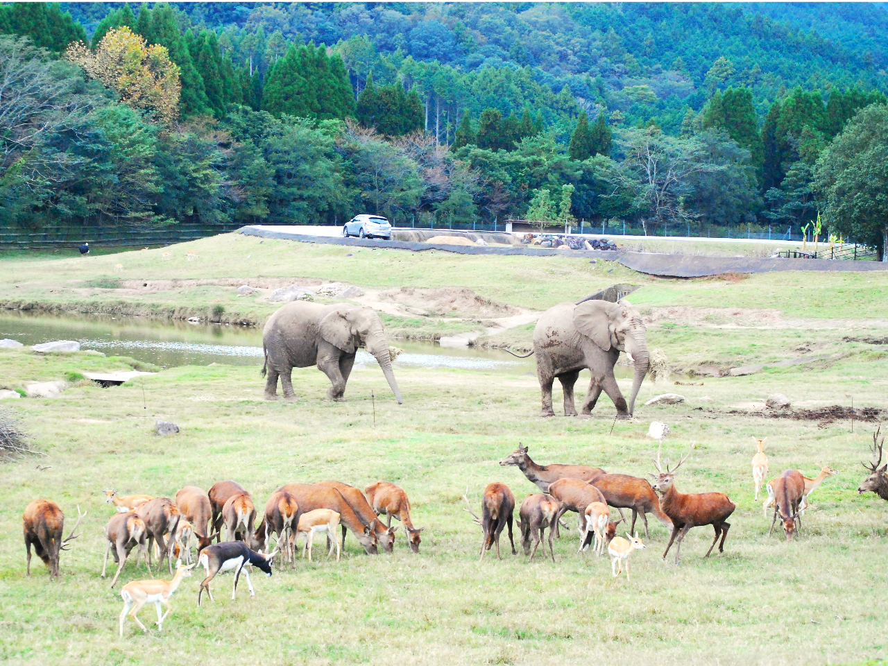 5月3・4・5日≪GW≫はこちら／【入園チケットプラン】事前購入で