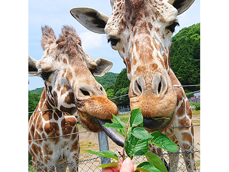 5月3・4・5日≪GW≫はこちら／【入園チケットプラン】事前購入で