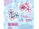 水引の色や種類はもちろん、作れる小物の種類も豊富!ピアスやイヤリング、ブックマーカー、キーホルダーも作れます!