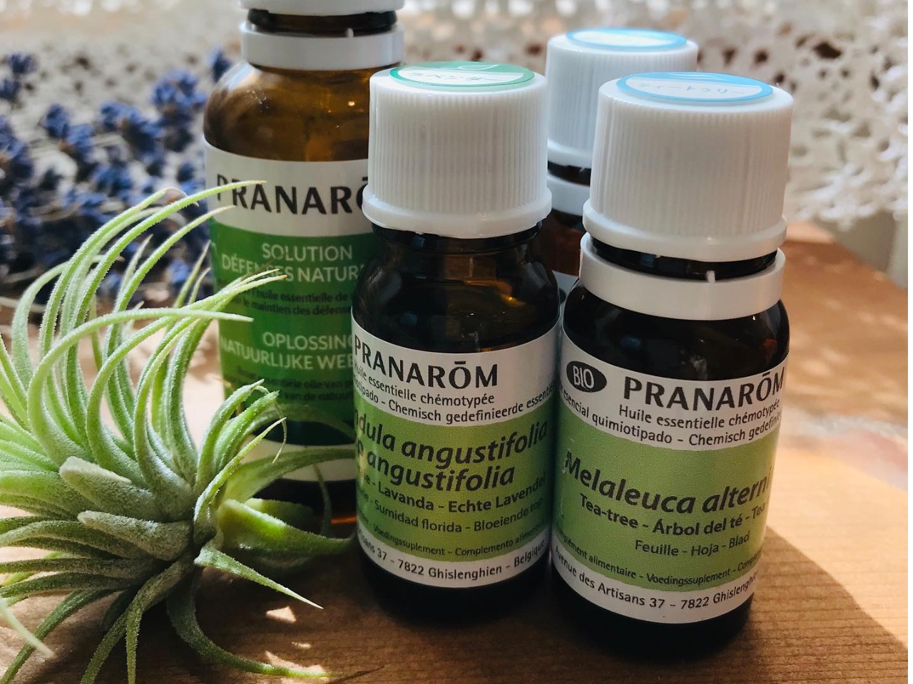 tX̃viЂ̐ȂǁAi̗ǂgp܂B