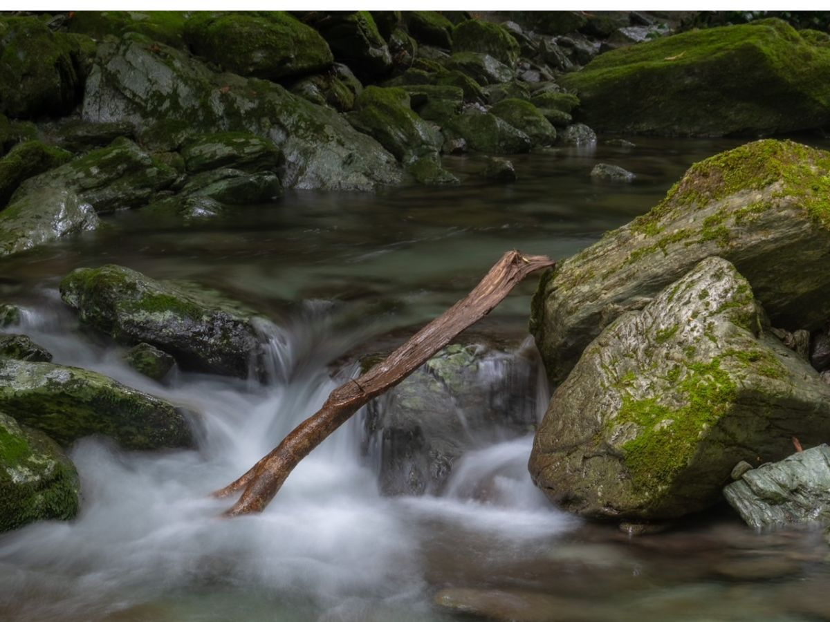 心地よい川の音を聴きながら