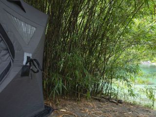 竹林での中での不思議サウナ体験。