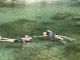 仁淀ブルー(天然の水風呂)にダイブ!!