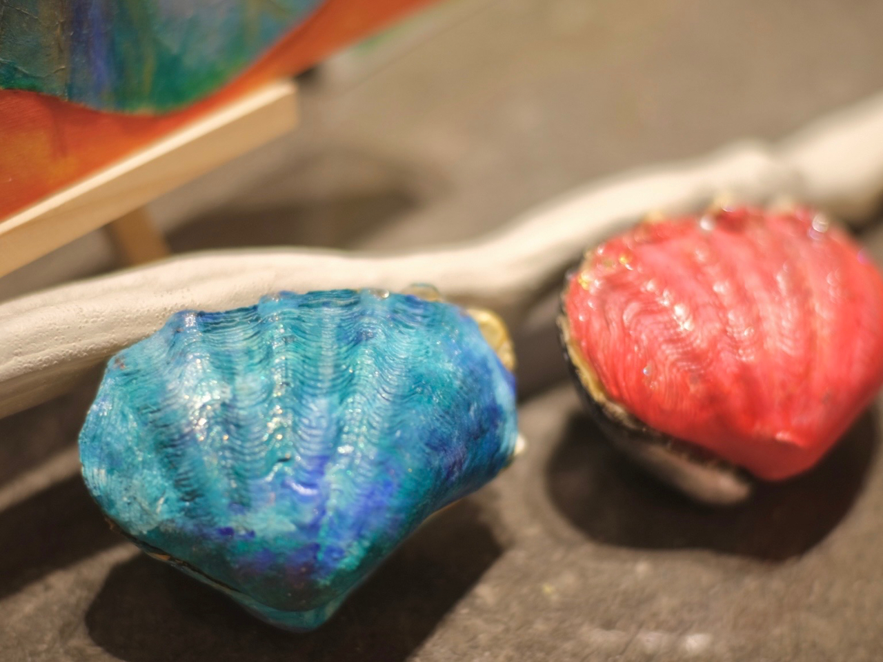 沖縄の1部とオーストラリアの1部でしな取れない希少な貝殻