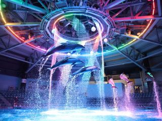 ★マクセルアクアパーク品川★音・光・映像と生きものが融合するTOKYO最先端エンターテインメント。 デジタルテクノロジーを駆使した空間で海の世界の魅力をお届け!