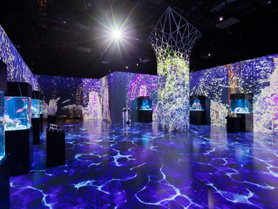 `C}[VuGAup^[Yv` lGƐ̂aςAvԂy݂܂B